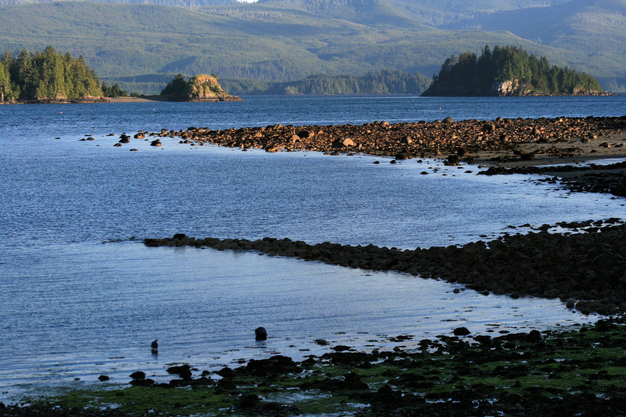 Haida-Gwaii